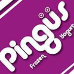 Pingüs Frozen Yogurt